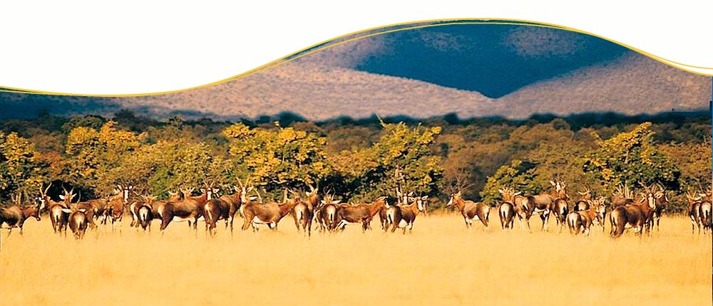 Mit Chamäleon Reisen ferne Länder in Kleingruppen erleben Mit Chamäleon Reisen ferne Länder in Kleingruppen erleben