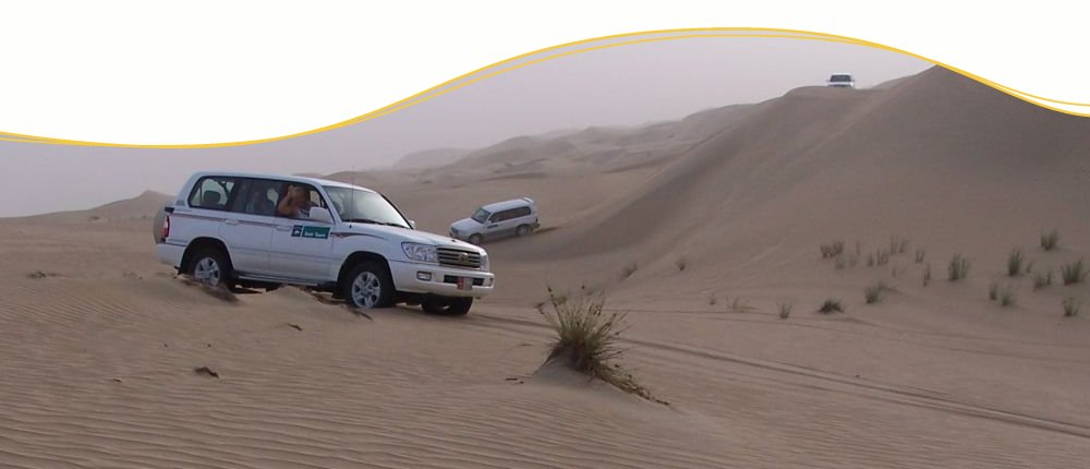 Wüstensafari entdecken Wüstensafari entdecken