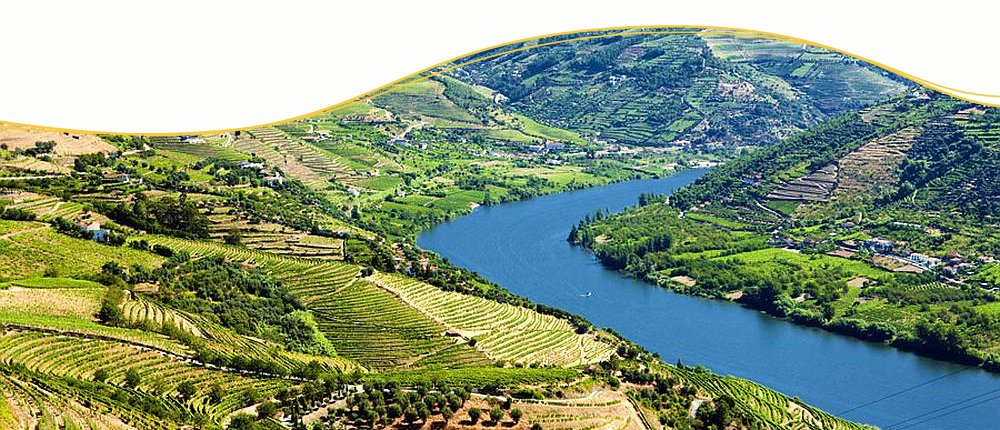 Douro erleben mit Nicko Tours Douro erleben mit Nicko Tours