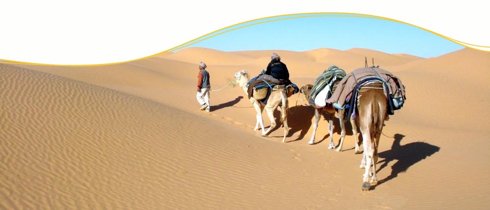 Kameltrekking, Tunesien Kameltrekking, Tunesien