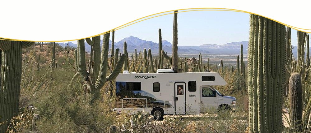 Saguaro Nationalpark, USA Saguaro Nationalpark, USA