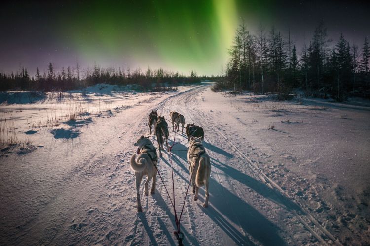 Finnischer Winterzauber (Finnland - Lappland)