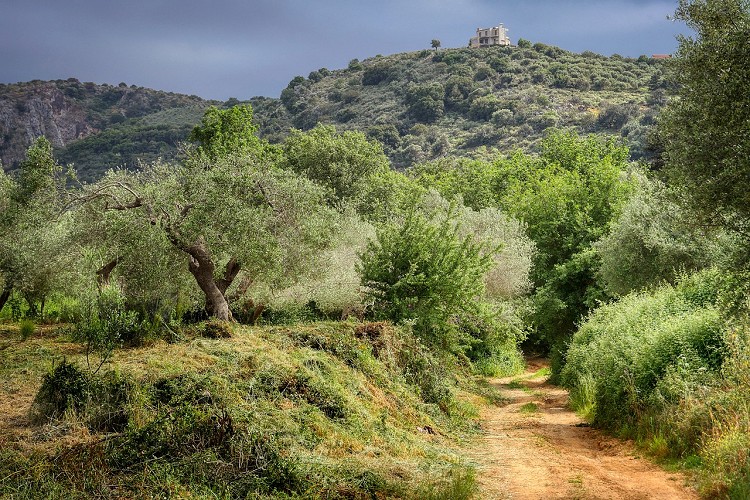 Kreta mit Auto, Bus oder Wanderstiefeln    (Griechenland - Kreta)