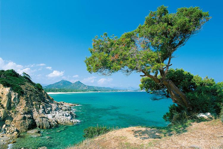 Sardiniens zauberhafter Norden    (Italien - Sardinien)
