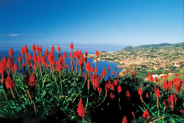 Madeira    (Portugal - Madeira)