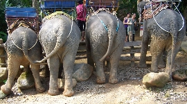 Thailands Höhepunkte