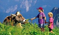 Ferienhäuser in Österreich