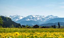 Urlaubshotels zum Wandern    (Deutschland - Allgäu)