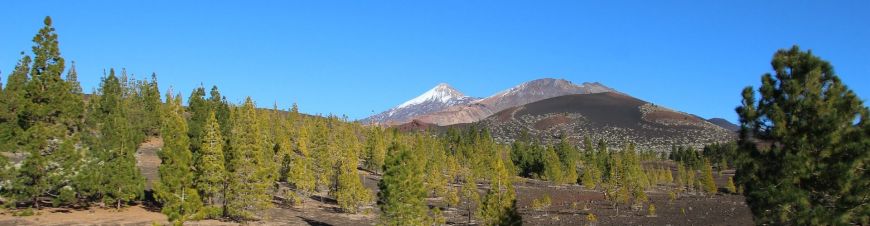 Frühjahr auf Teneriffa