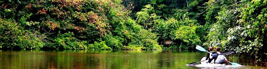 Das pure Leben entdecken im Tortuguero Nationalpark in Costa Rica