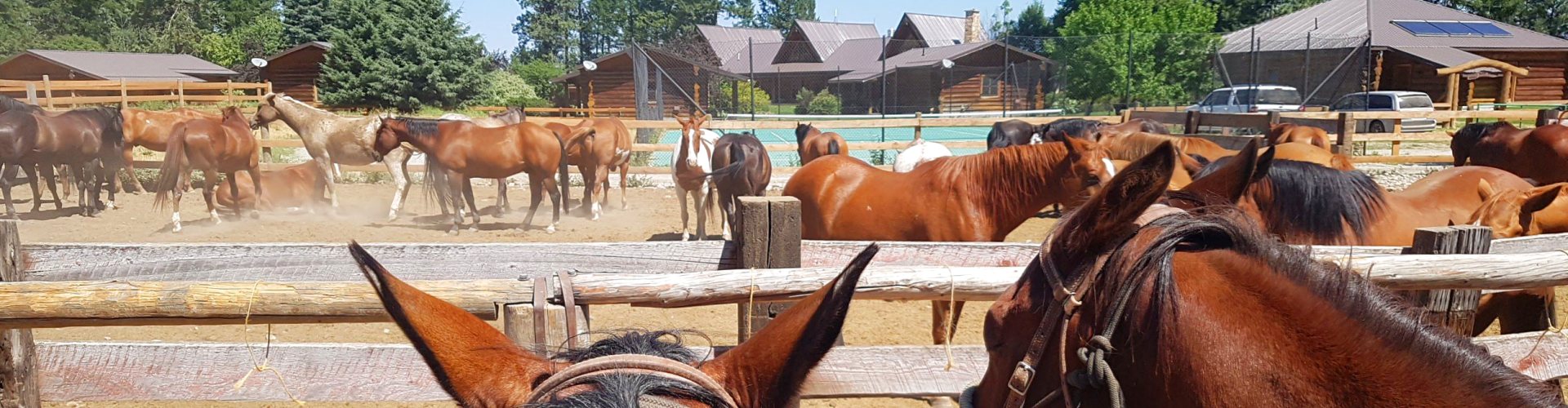 Wunderbare Pferderanch für Familien - Three Bars Ranch -  Ein schöner Platz auf Erden